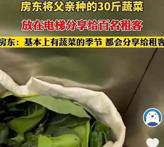 这个房东彻底火了！”浙江义乌一女子，家里有一栋公寓，大概住了100个左右的租客。