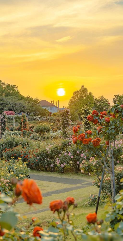 冬天来了，要想少生病少遭罪，我们要做好3件事：头一件，洗澡真得“省着点”。别