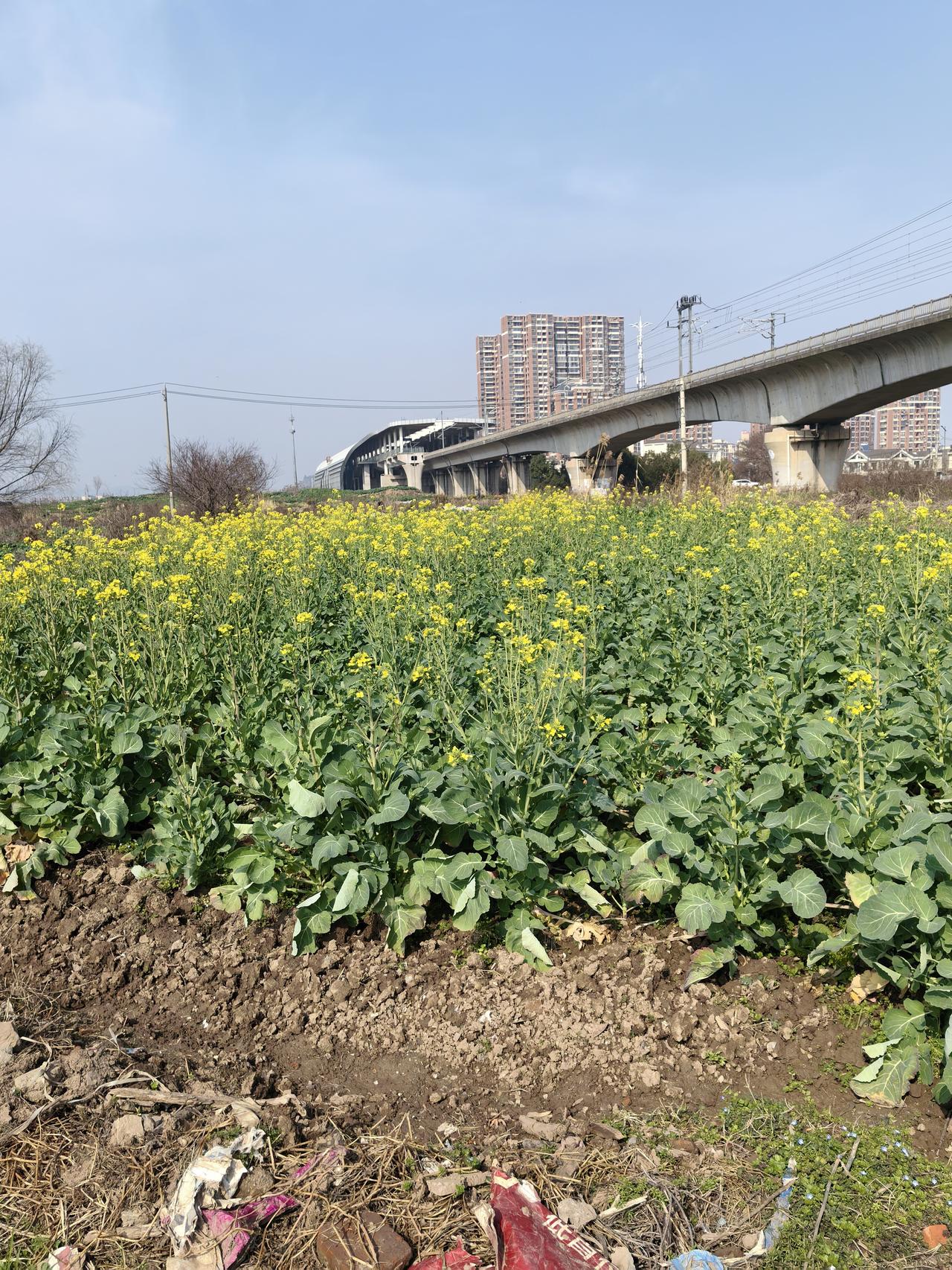 减肚子上的肉，很多人都头疼。不少人试过饿肚子、卷腹，但大多坚持不下来，或者瘦了全