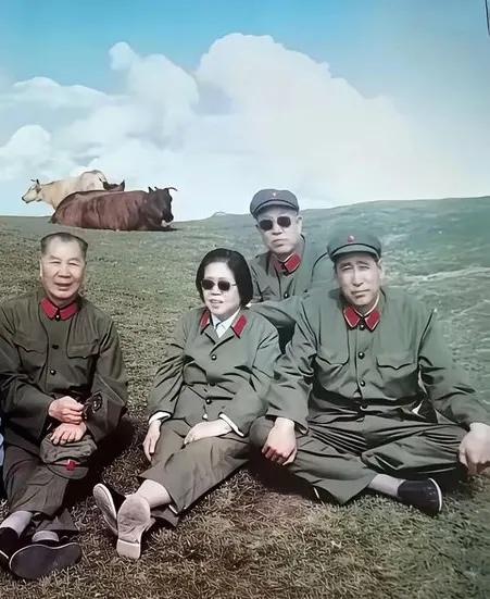 开国上将杨成武将军眉清目秀，英姿勃勃，军政兼备。举手投足，武有松柏之姿，文有兰竹