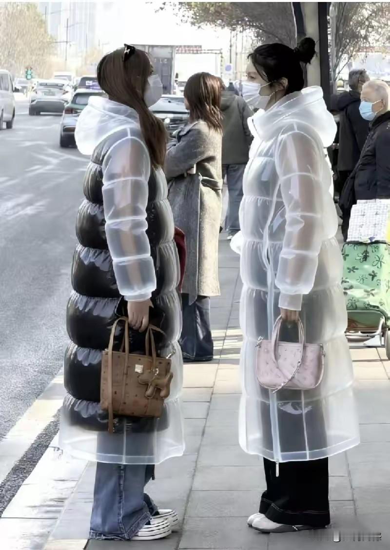 今年这款羽绒服很时髦，穿在身上，真有一种冰清玉洁的感觉，不得不佩服现在的服装设计