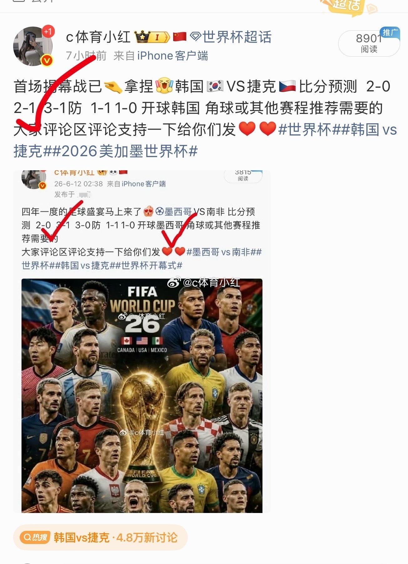 不枉我熬了一夜，开赛两场全部拿下这两场加拿大VS波黑比分预测美国VS巴拉圭