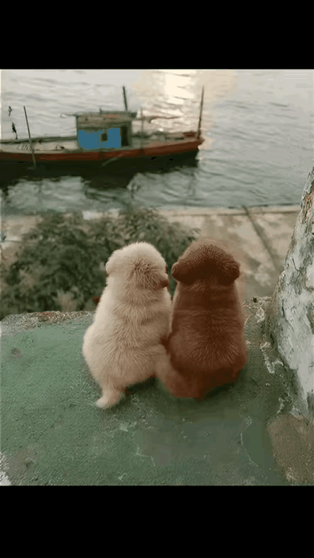 最后那个动作，我看了都羡慕。