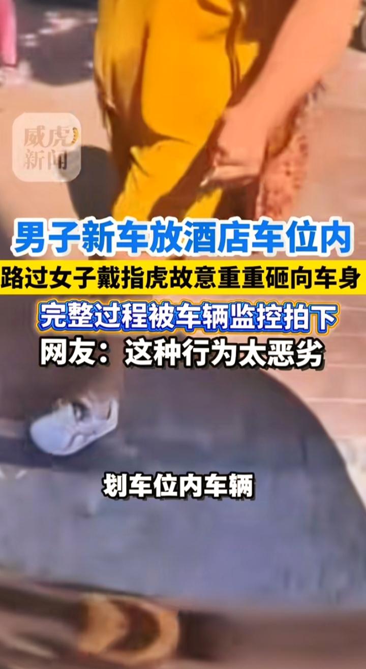 戴指虎划新车，监控拍得清清楚楚，这哪是泄愤，分明是“持械毁财”河南郑州街头