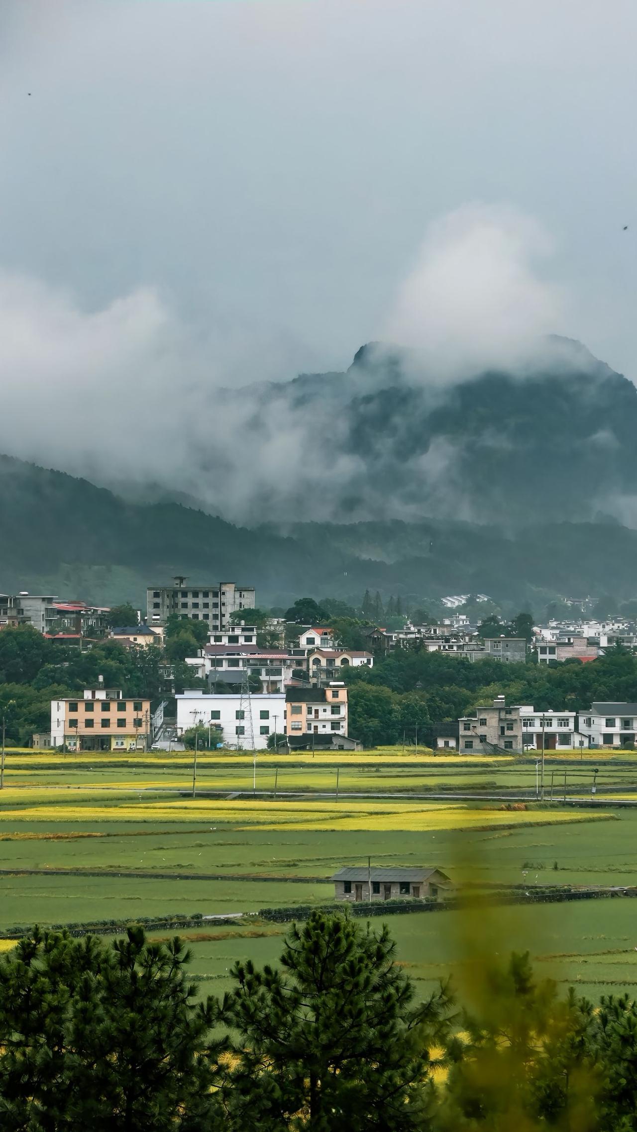 我们难道不应该好好地反思一下这个问题吗？一个人用了16年的时间学出来以后，竟然找