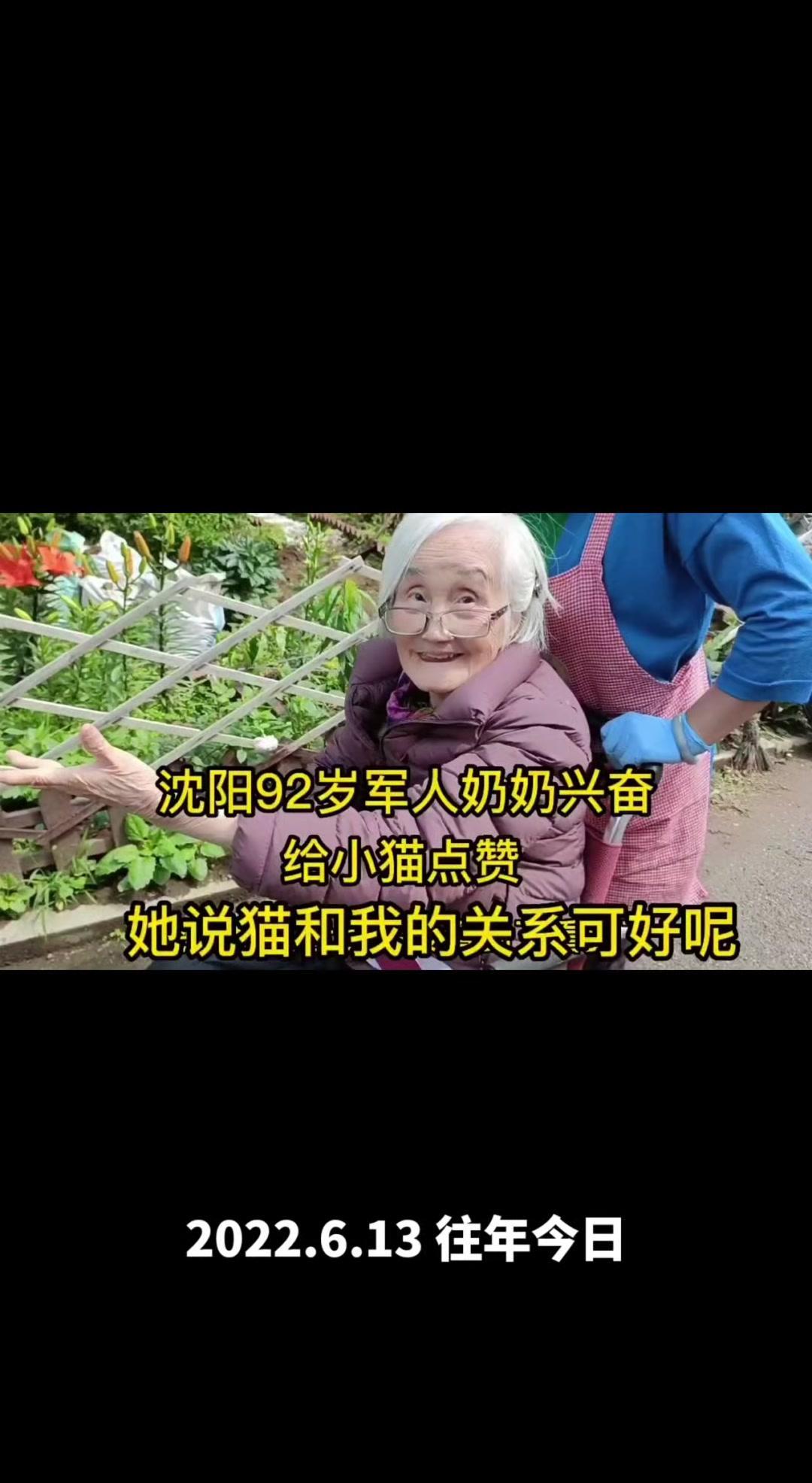 92岁的奶奶和猫咪相处得格外融洽，她会追随猫咪的脚步，轻声呼唤它的名字，还会细心