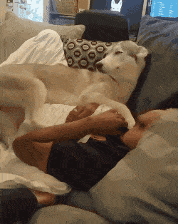 什么眼神？你这要成精啊