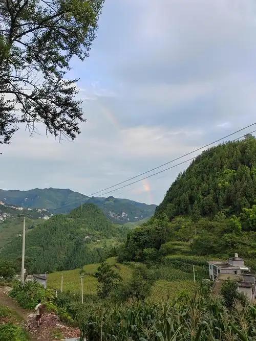 偷偷告诉你一些人性铁律：1．光靠喝酒，交不到真正的朋友。2．向别人诉苦，换不