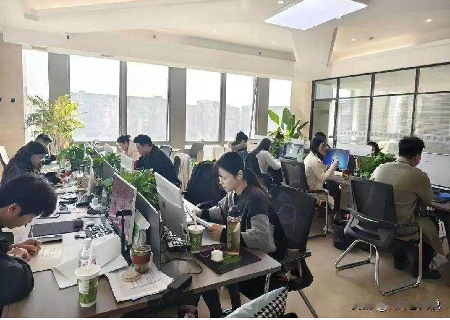 公司的9001要年审了，为了能够保险点，公司特意找了当时的质量高级经理（现在已离