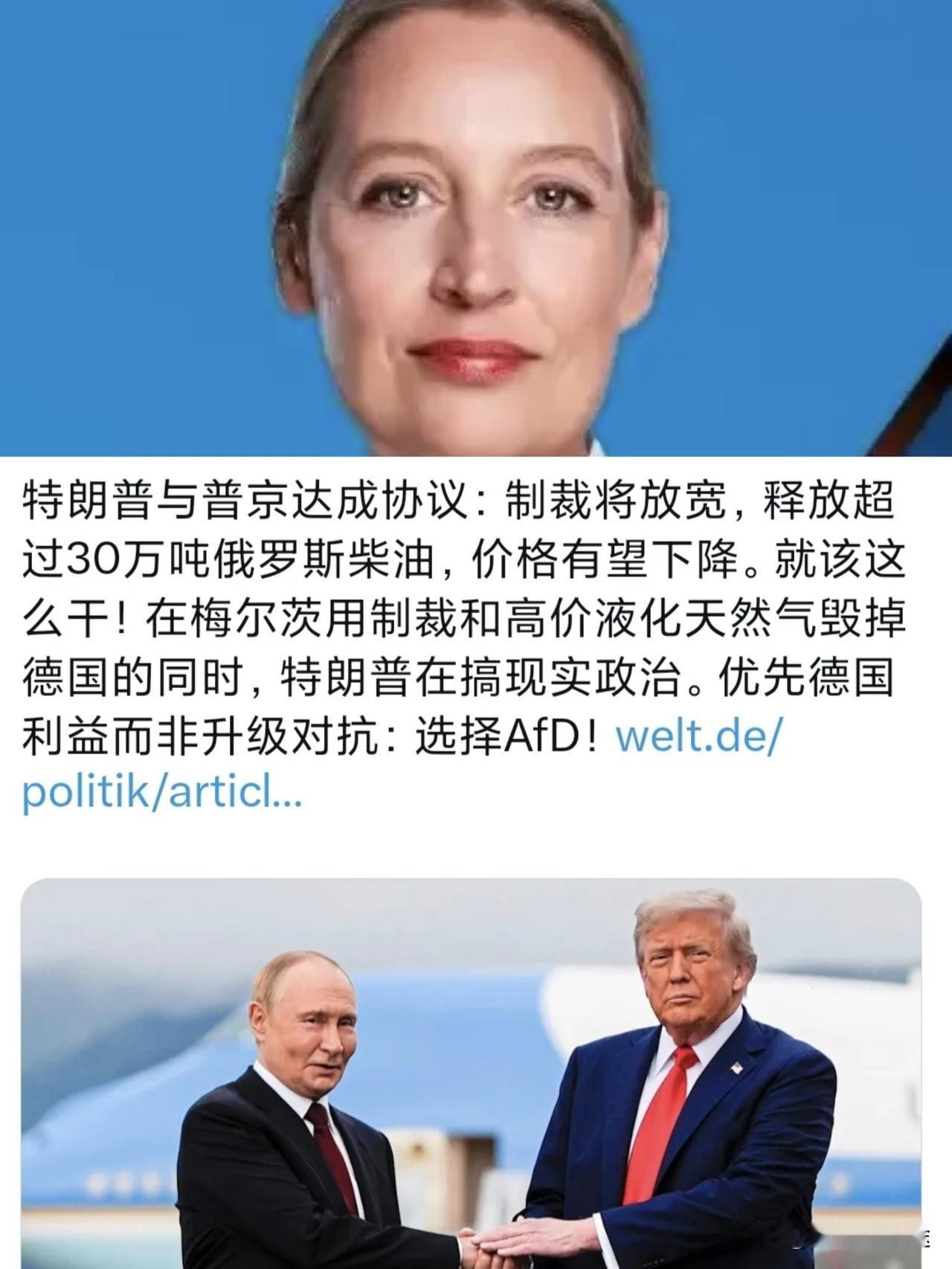 德国选择党魏德尔表示：美国做得对，与俄罗斯签下能源协议！德国执政党表示：德国能