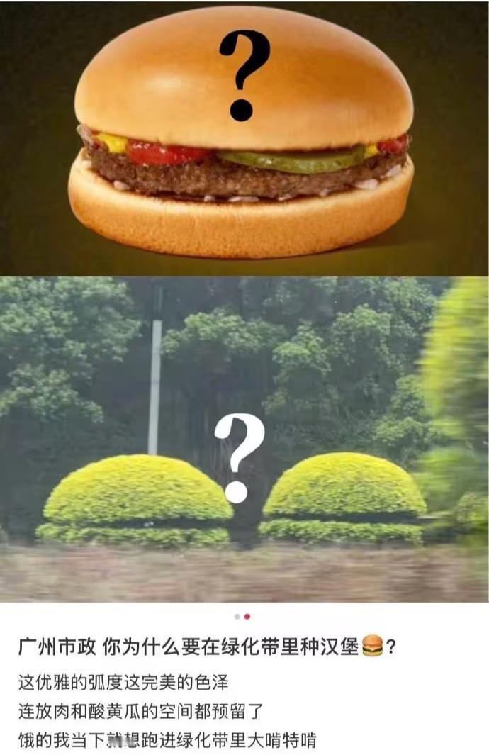 虽然但是，广州这个真的好像汉堡包啊