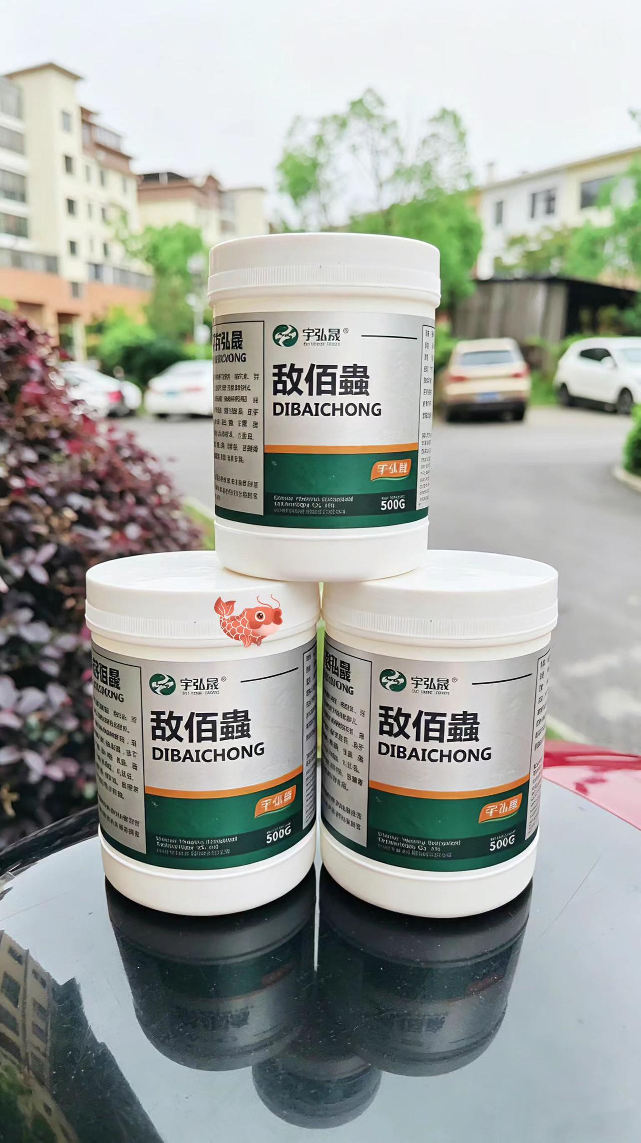 敌佰蟲鱼塘养殖鲢鱼鲤鱼草鱼