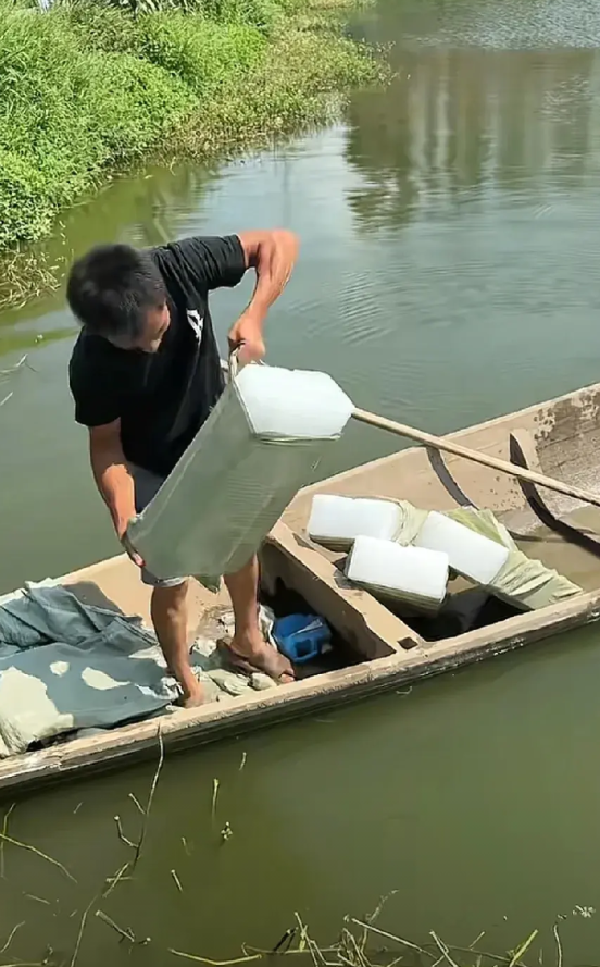 这么热的天儿，人可以呆在空调房里，可是鱼不行呀。湖南岳阳的一个鱼塘塘主，无奈往自