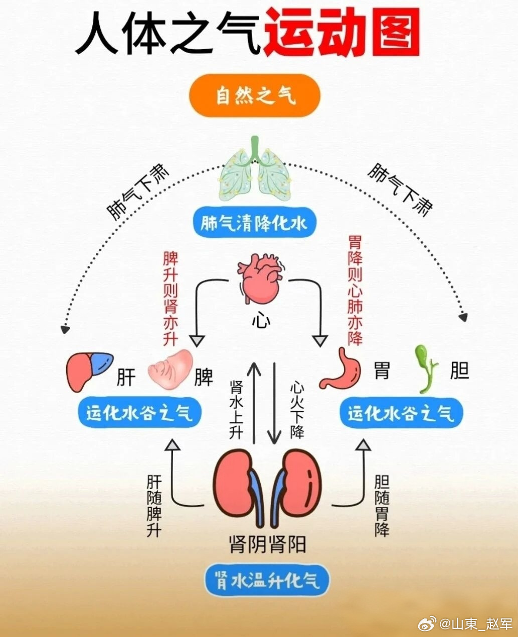 《黄帝内经》“上以治阳，中以治脾，下以补肾”的三焦通补法。它不是在简单“补”，而