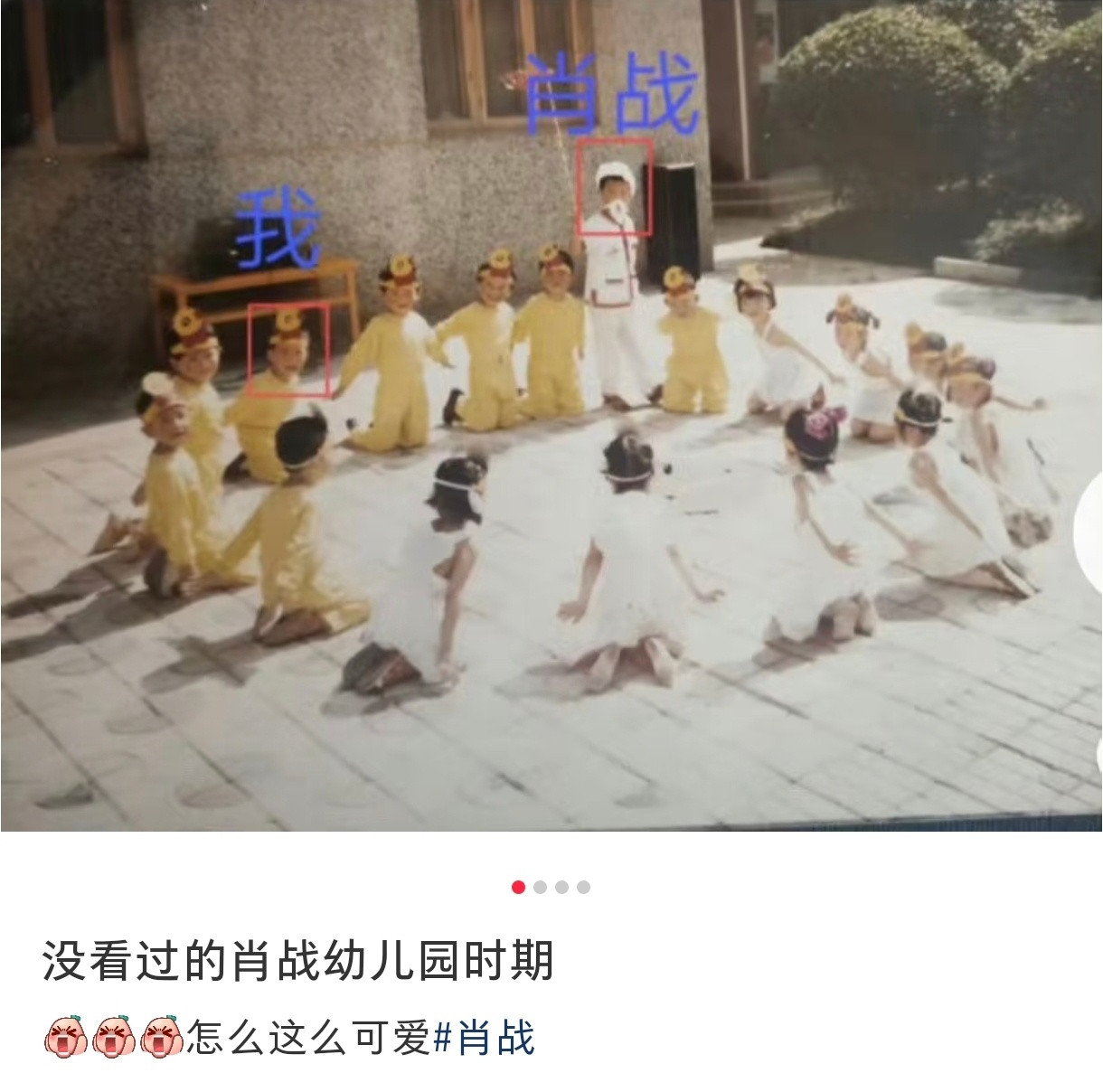 哈哈哈太萌啦这个小赞赞！！！从小就很高！！！​​​