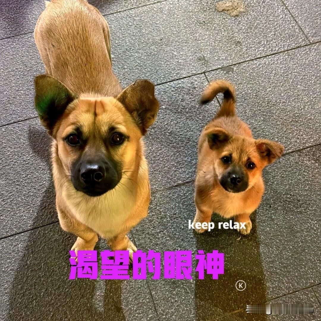 好久没有逛夜市了,趁着今晚有空去逛了一下。天气虽然冷了,但夜市上还是很热闹。买了