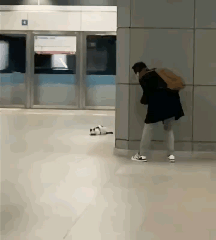 猫咪以为这个人有吃的，所以拼命讨好他，与他玩，如果这个人没有吃的东西，那么损耗的