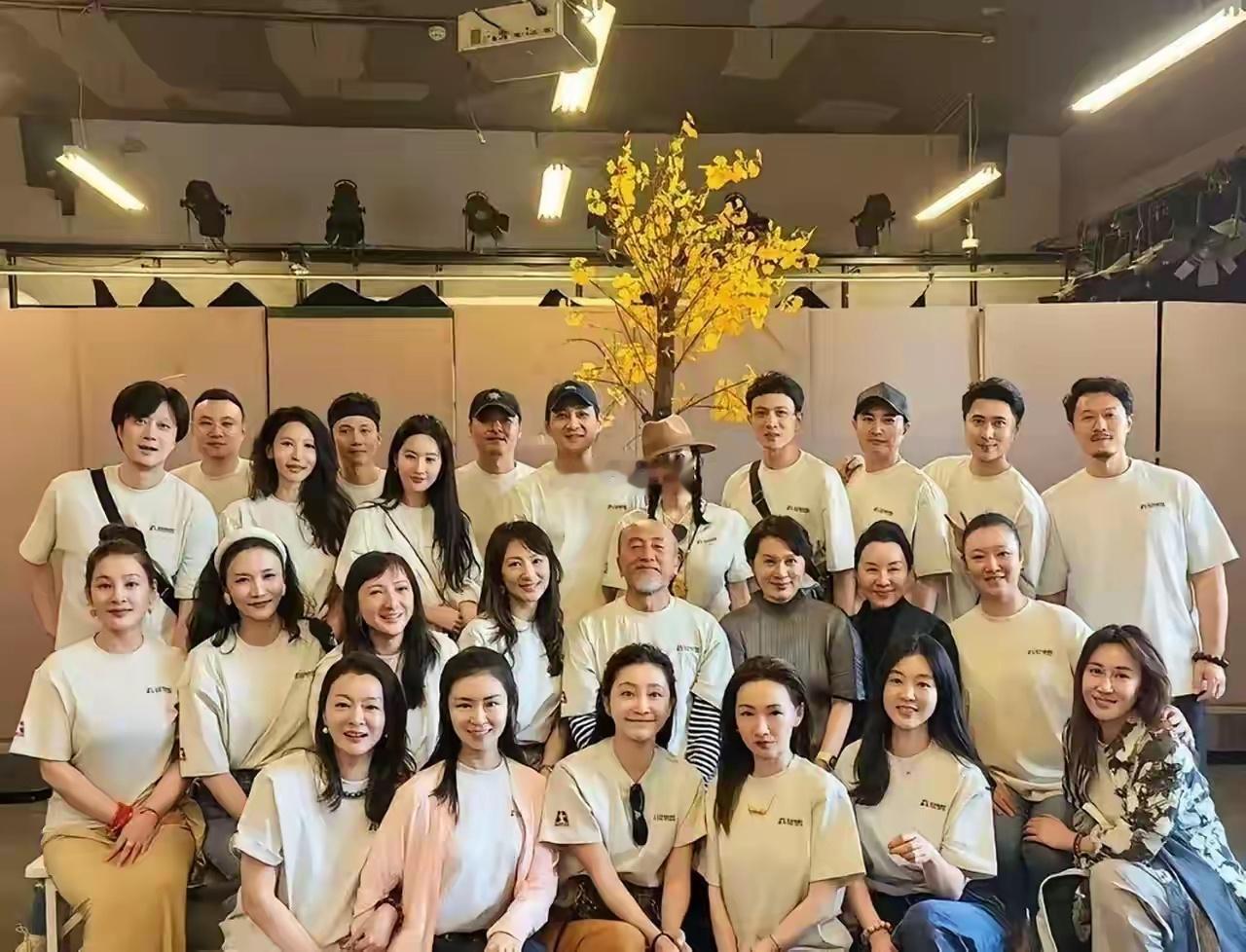 刘亦菲同学聚会，没有对比就没有伤害