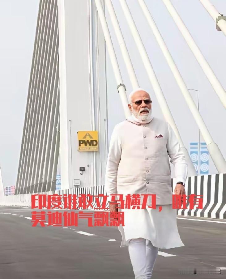 仔细研究了一下莫迪，发现他很爱出访，很爱拍照站C位，很喜欢领各种奖章，好像有30