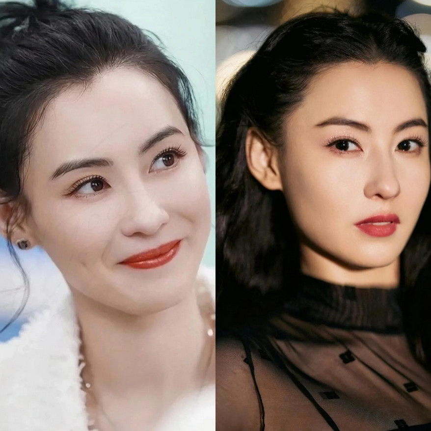 张柏芝的三个儿子分别是：长子：谢振轩，17岁，生父是谢霆锋。次子：谢振南，1