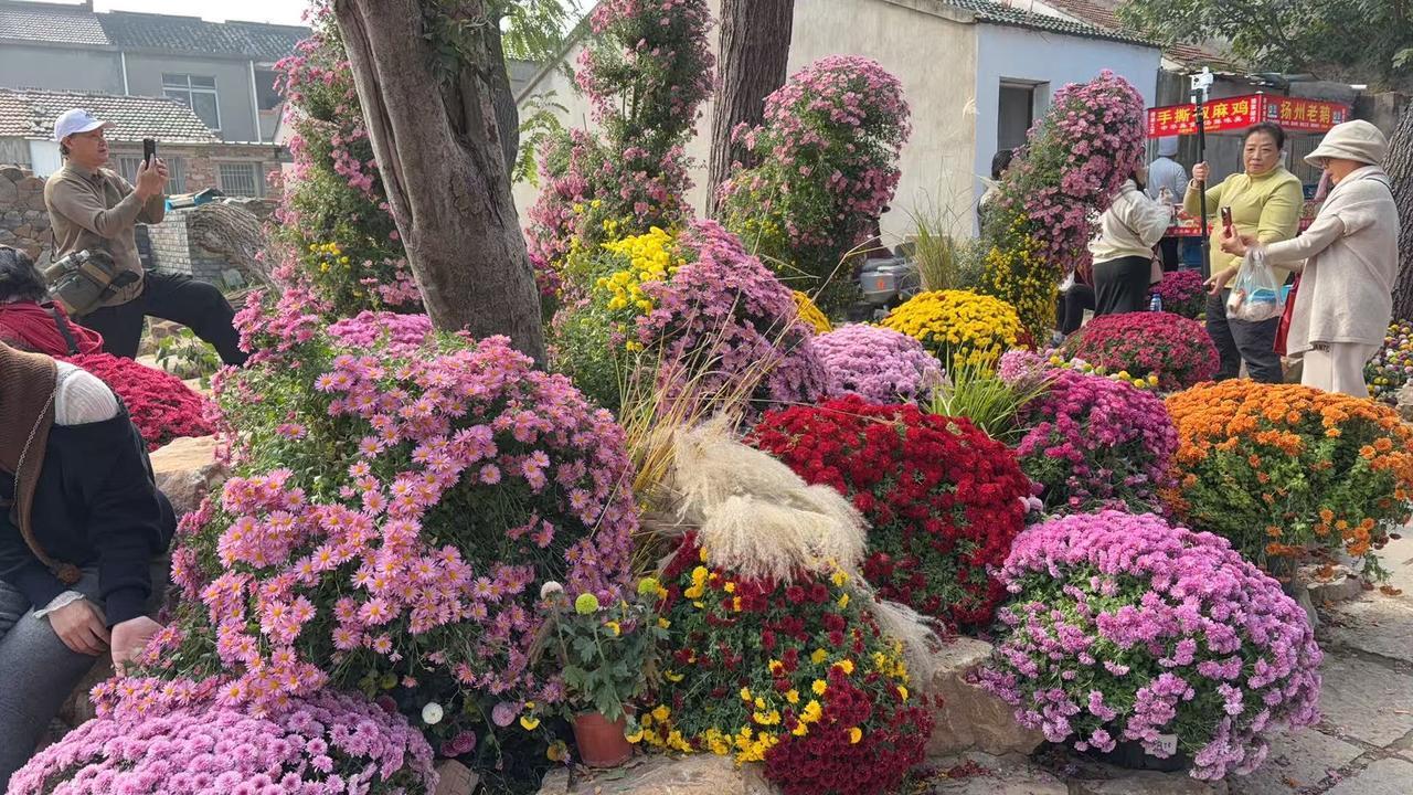 无锡是个好地方，古镇多如牛毛！