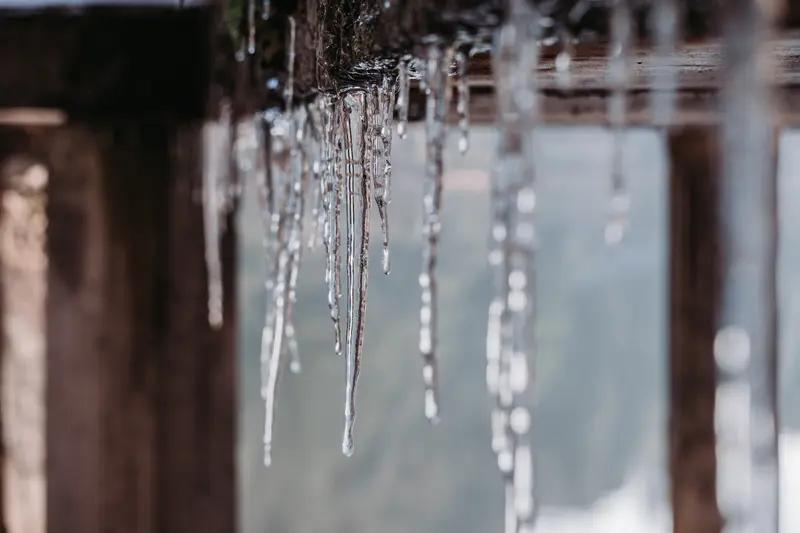 寒潮（同题同韵异律）（一）一夜西风冷似宾，窗前落叶舞缤纷。遥知故里琼花谢