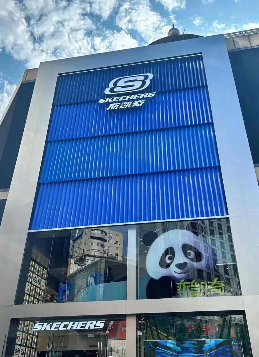 一觉醒来斯凯奇自己也没有想到这下真的有苦不能说了，本来以为自己主动退出可