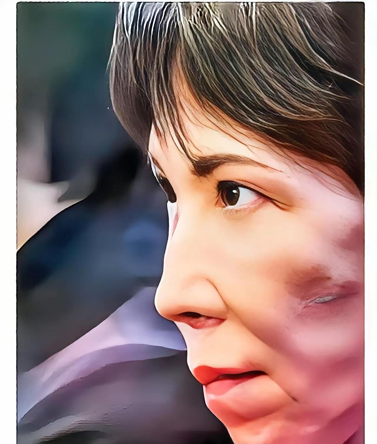 APEC会上高市早苗变脸，伪装暴露网友惊呼被骗，后悔看错人！高市早苗这次在A