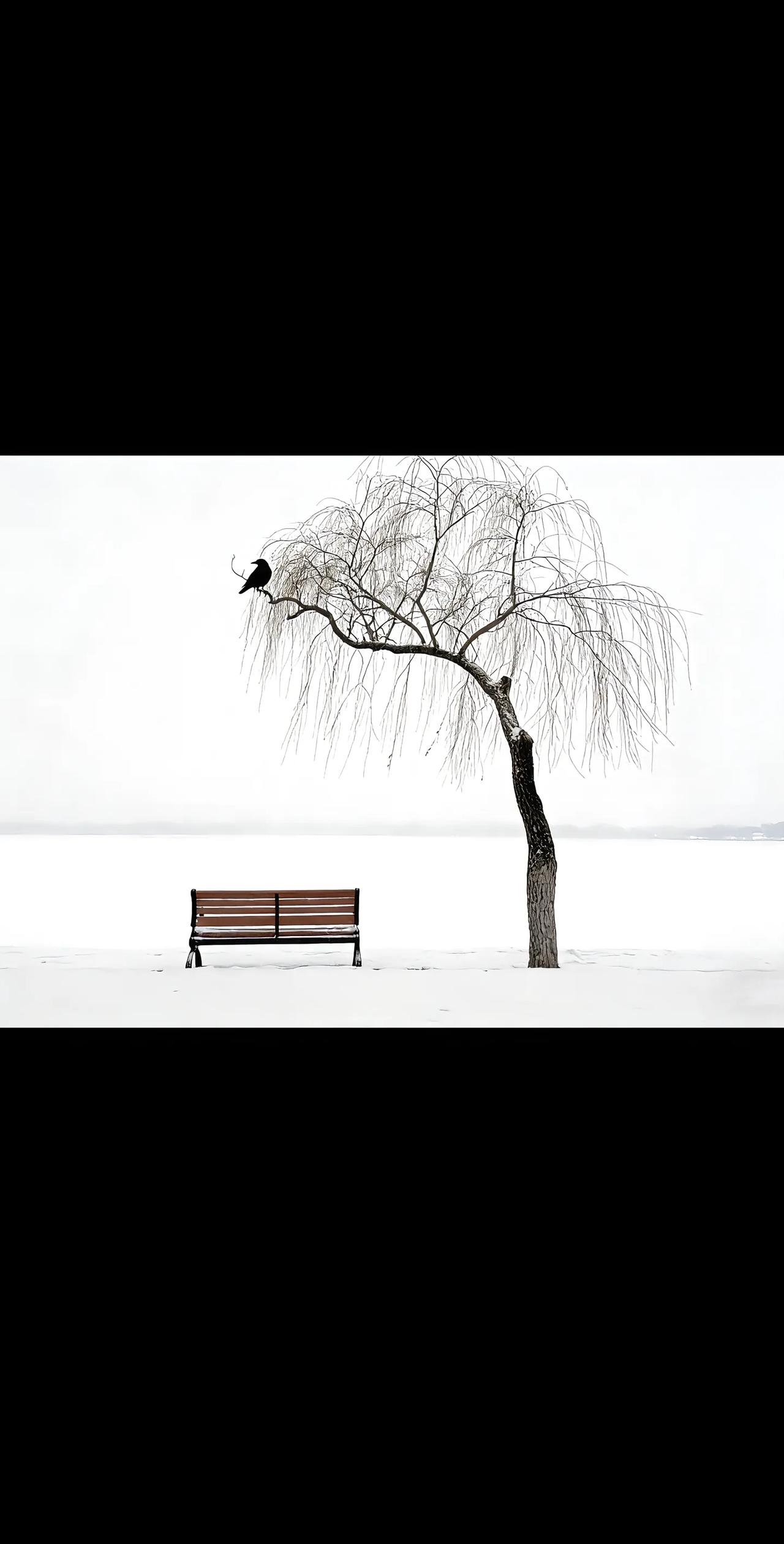 今天跟我师姐聊天，我师姐是南京的一所211大学的教授。她家的孩子其实成绩蛮好