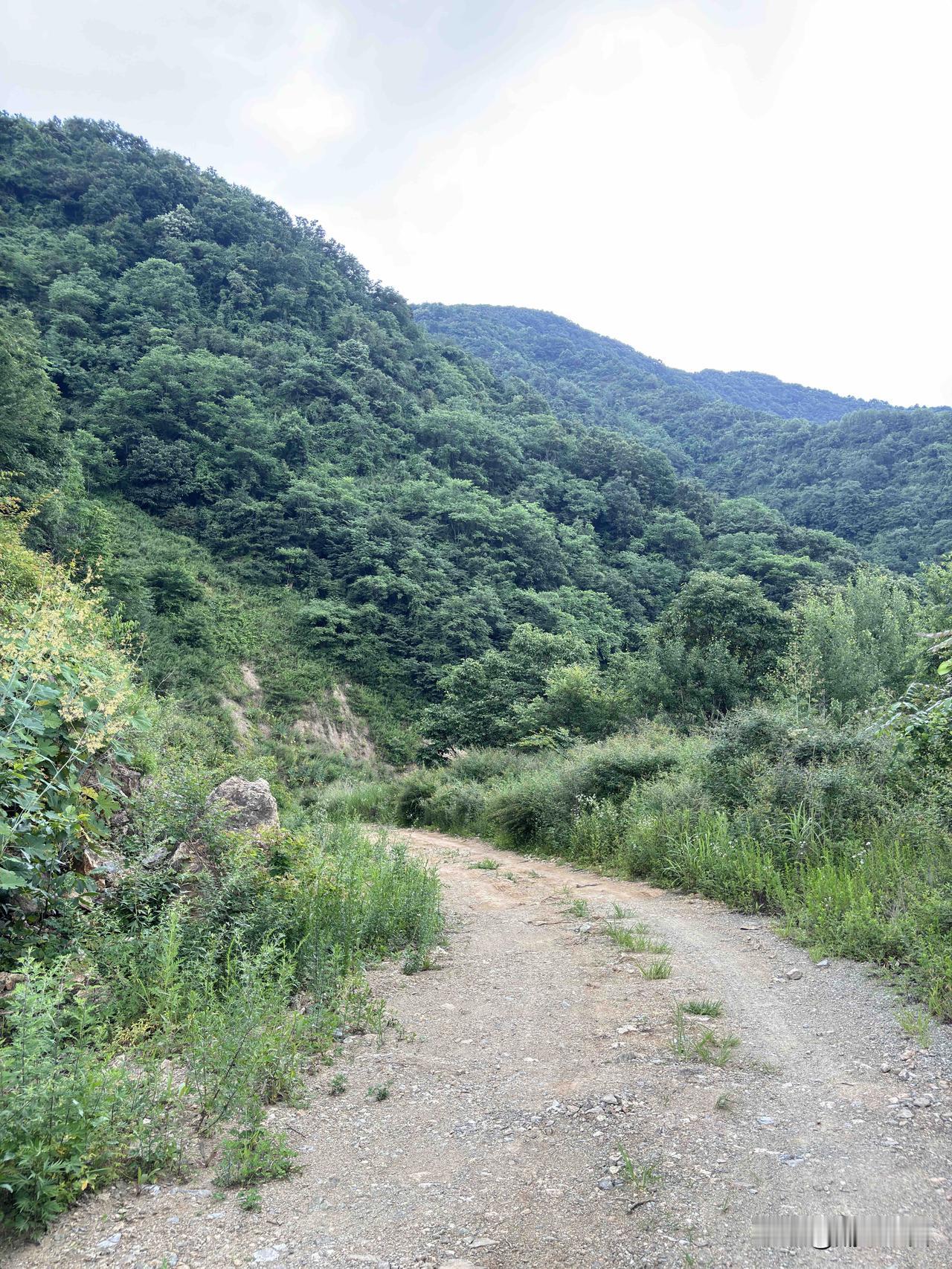 蓝田葛牌米汤河到商洛三岔河镇这段土路，有人走过吗？这是顺着米铁路走到头，是非铺路