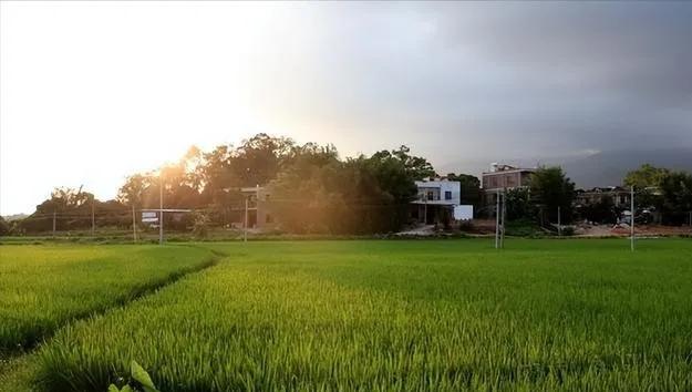 退休了，原本打算来女儿家住一段时间，看看外孙享受一下天伦之乐，可没住几天，什么活