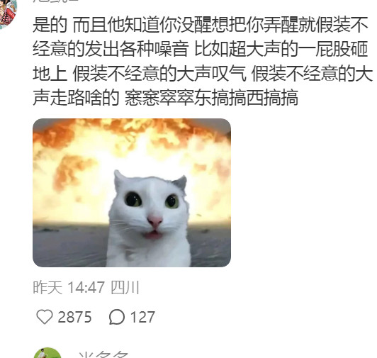 原来小狗是知道人有没有睡醒的