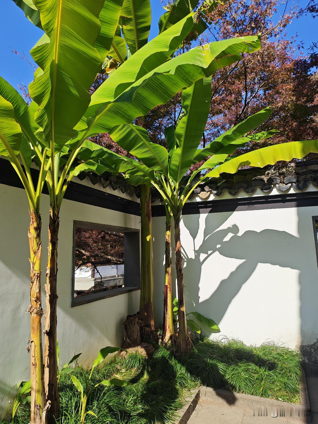 我的孩子病好了，为什么不能上学？现在的家长真的越来越懂得维权了！可是如果你的孩子