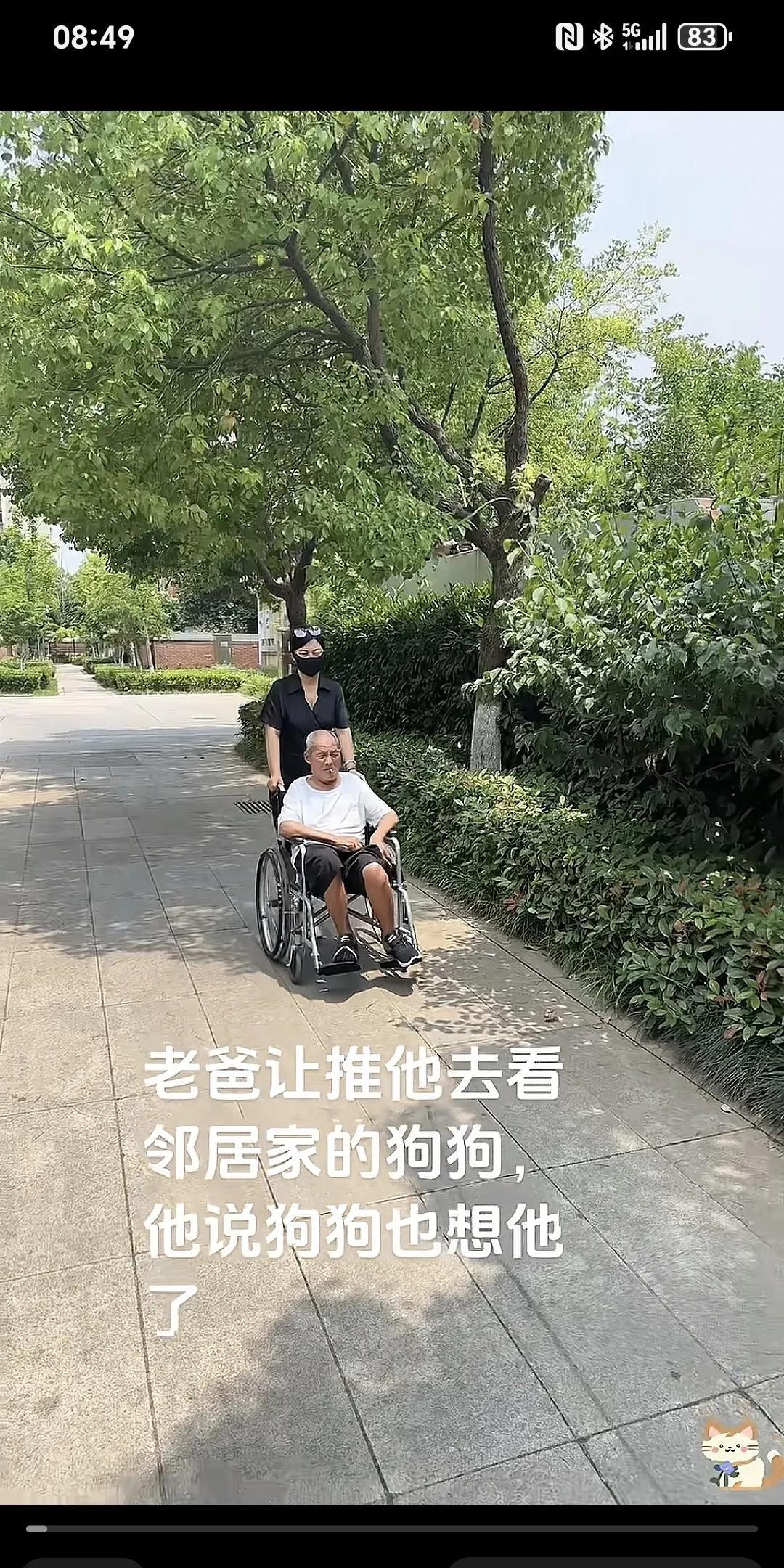 老爸让推他去看邻居家的狗狗，他说狗狗也想他～我和弟弟推着老父亲散散步。他说邻居