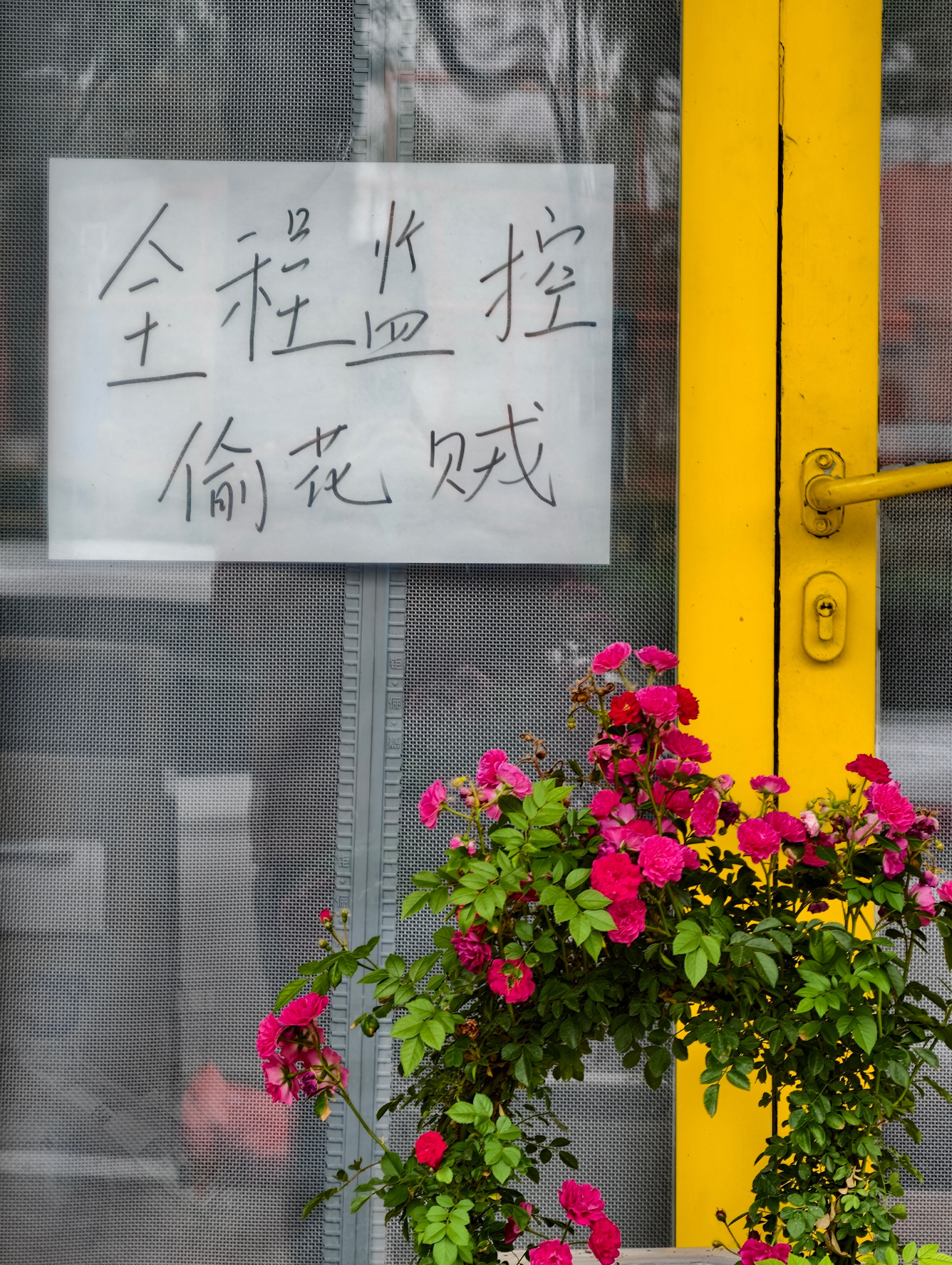 能感受到老板的怒气了老缺随手拍