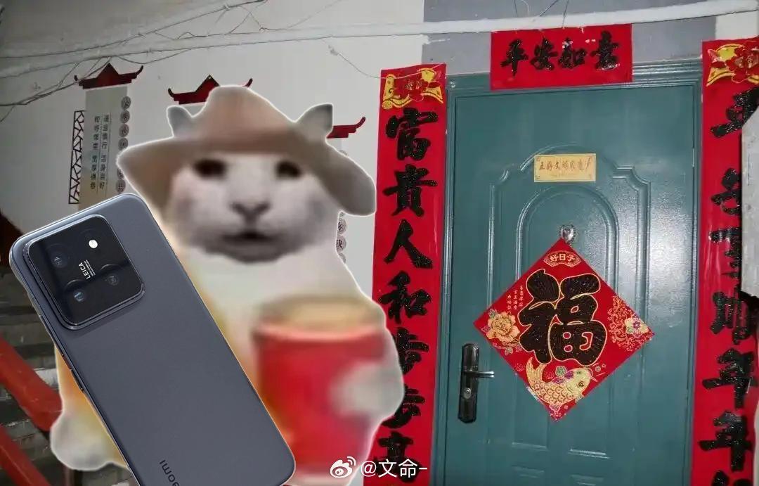 不愧是群友，我昨晚八点把自己锁外面，当晚看到就出图了，还细节右手小米14