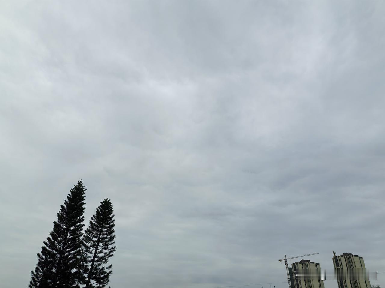 大到暴雨＋雷暴大风上线！12日夜间起新一轮龙舟水抵达广东！今天（12日）白天