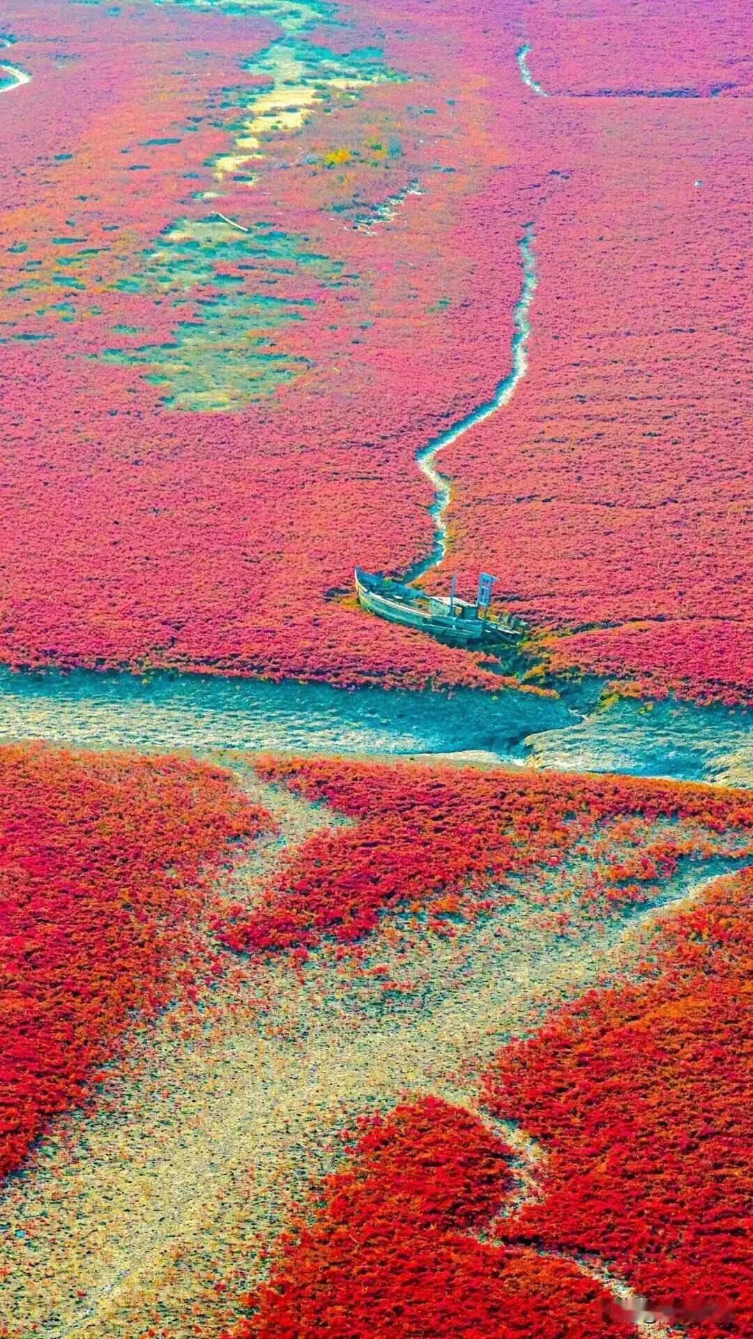 中国千年能源安全保障可解，重大突破！！爆料燃料从“铀”到“钍”，中国