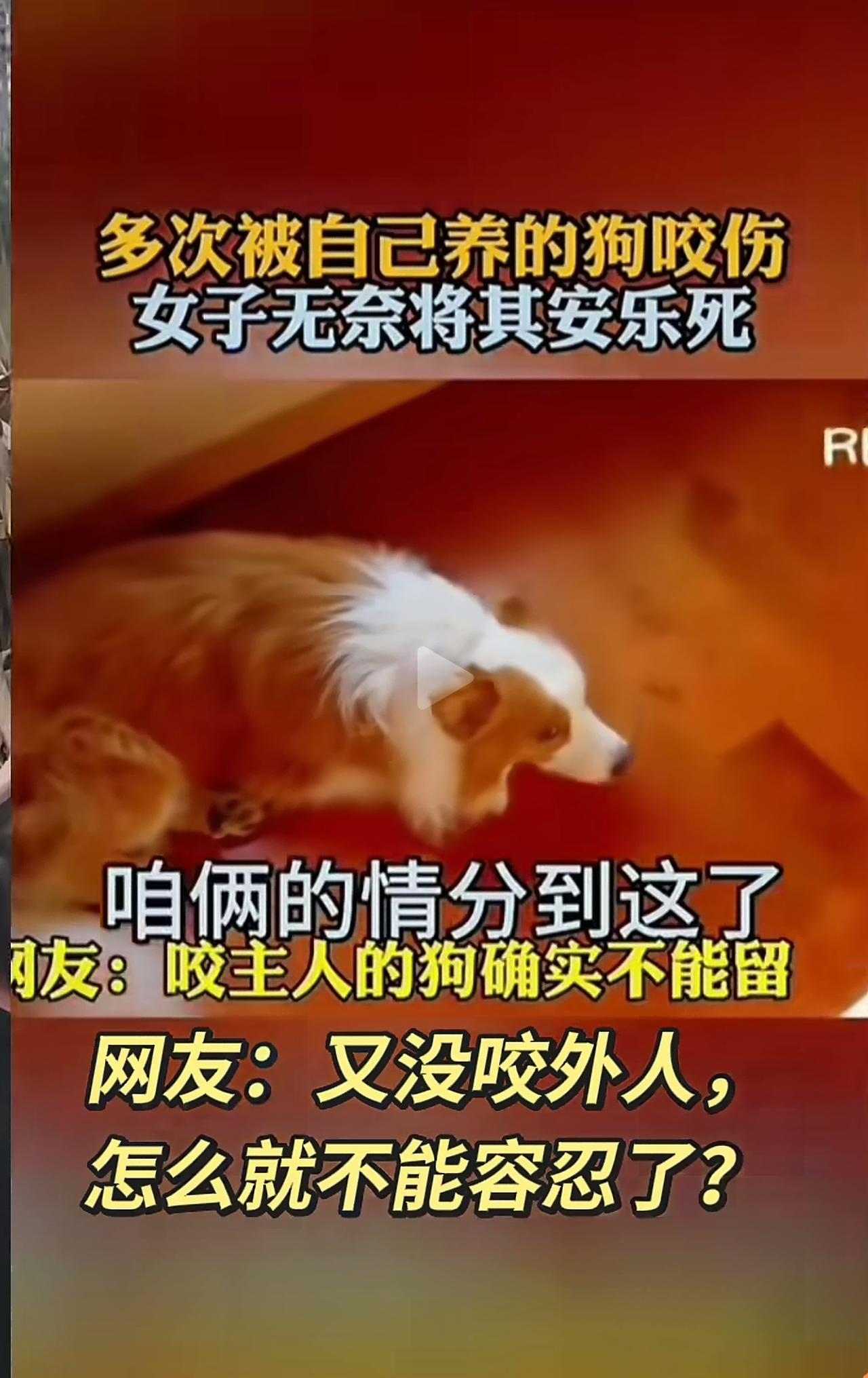 这么好的狗，怎么舍得让它死，还得花钱买药打针，多放点辣椒不好吗？