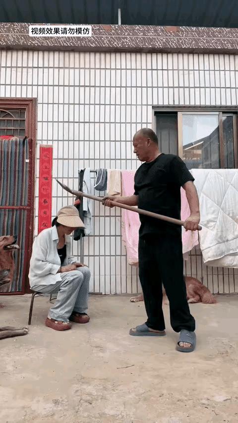 为什么大家都喜欢毛孩子？最关键的一条，就是因为毛孩子对主人特别的忠诚，而且毛孩子