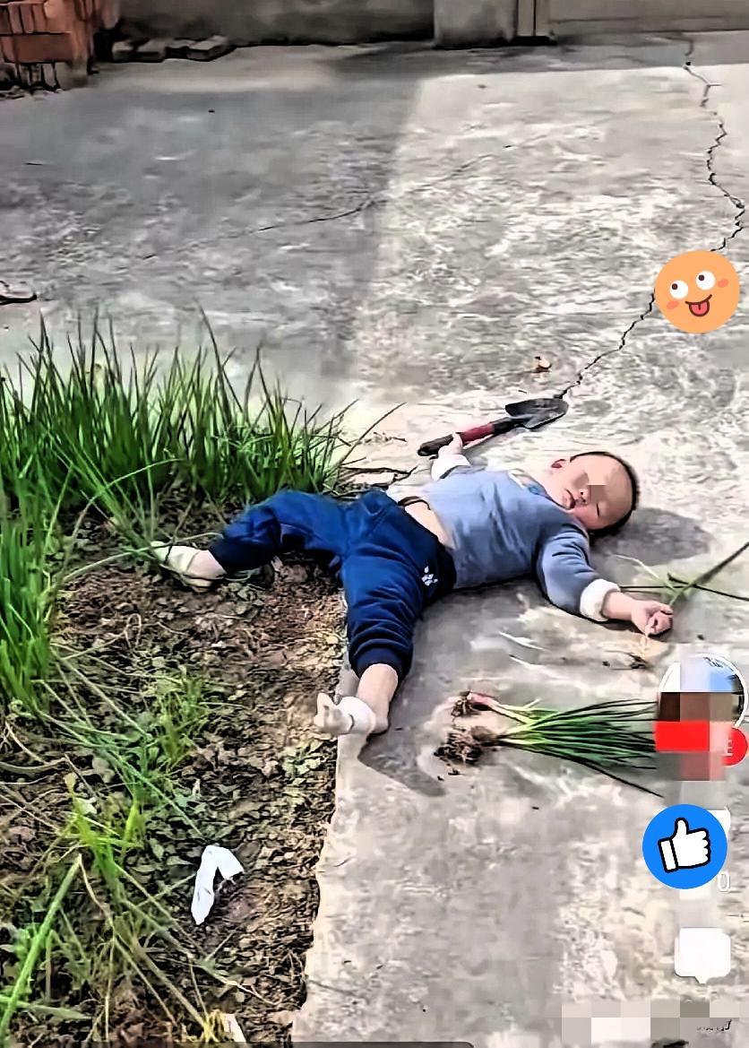 太心疼又太治愈！奶奶要拨水葱，小孙子自告奋勇去挖，结果饭都熟了人还没回，寻到