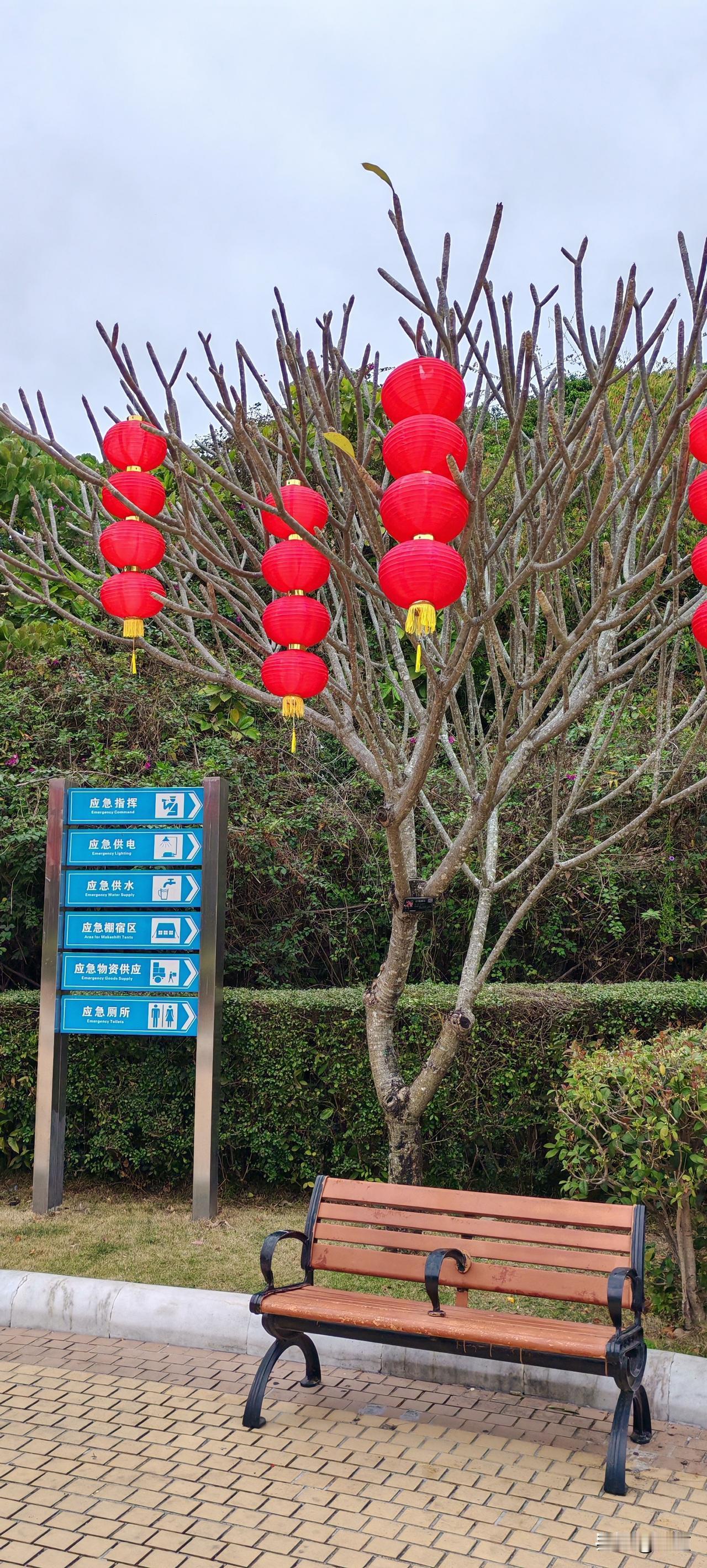 有些二婚女的，遇见一个头婚男的，以为拣到宝儿了，至少没有儿女的牵扯。兴高采烈的