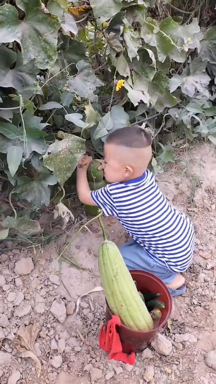 有人。