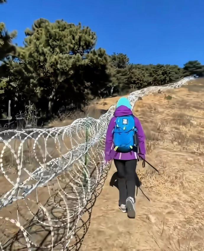 泰山被135公里刀片铁丝网围圈的事彻底吵翻了！官方说为了森林防火、防虫，还能杜绝