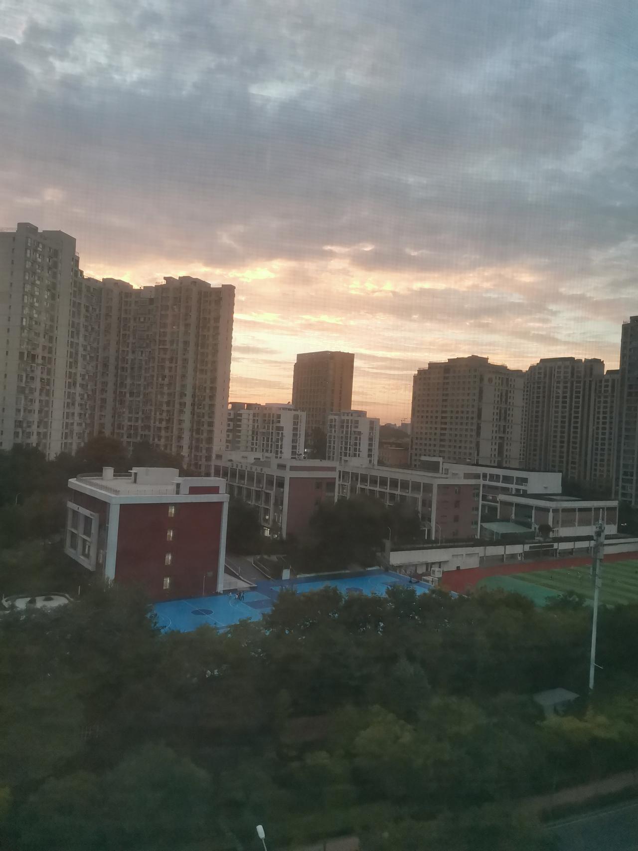 股票到底买什么夜深人静我在思考一个问题，股票到底买什么今天看到诸城美啥啥晨