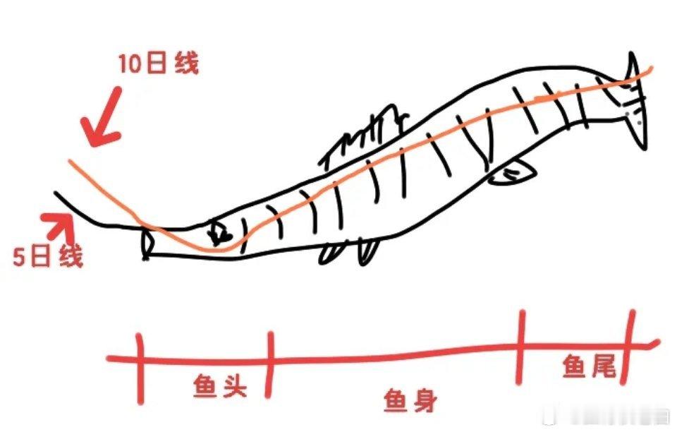炒股最理想的模式，就是买在鱼头启动、卖在鱼尾末端，轻轻松松拿下几十个点的收益。但