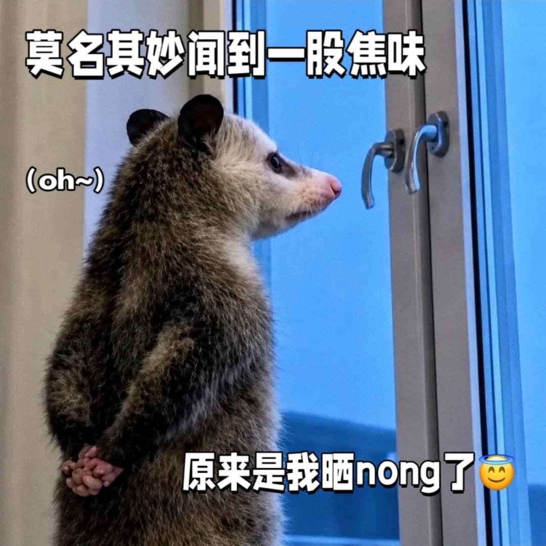 真想找个避暑地待着，大早上都被热懵了