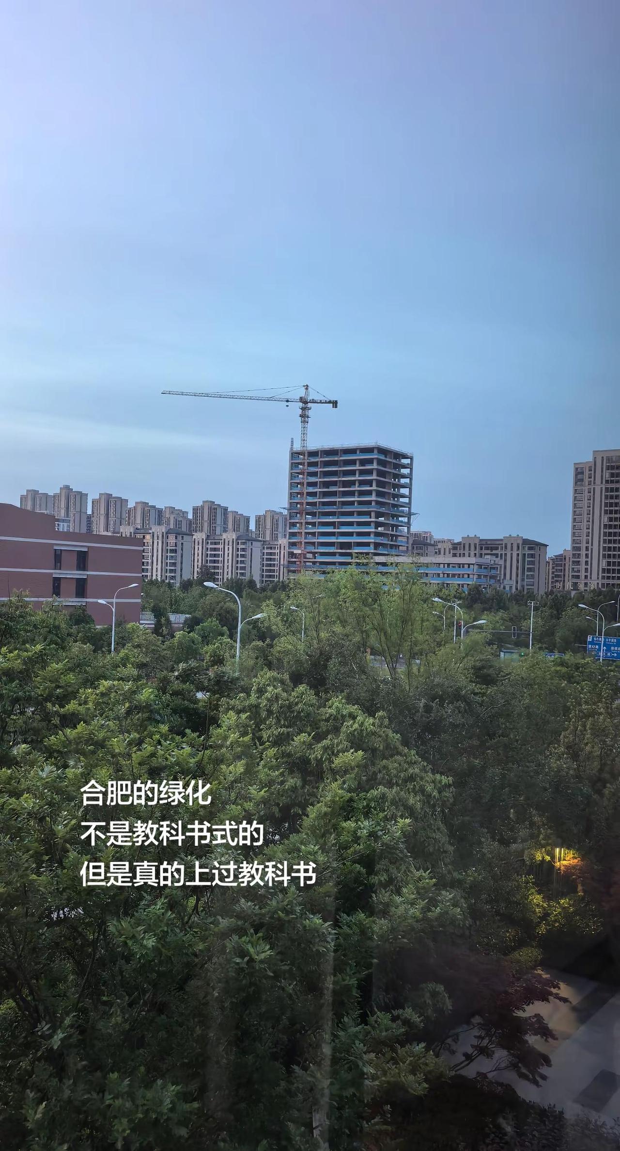 合肥的绿化，不是教科书式的，却真的上过教科书。上世纪80年代，合肥依托老城墙、