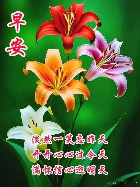 [比心]朋友们周日快乐晨起的阳光温柔洒下，吹散一周的忙碌与疲惫，周日的