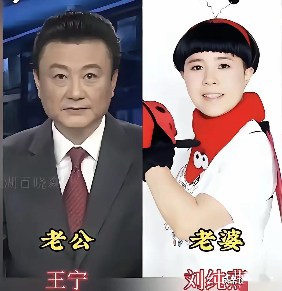 近年来,央视的众多主持人夫妻关系成为了公众关注的焦点,从朱军、陈苏到白岩松、撒贝